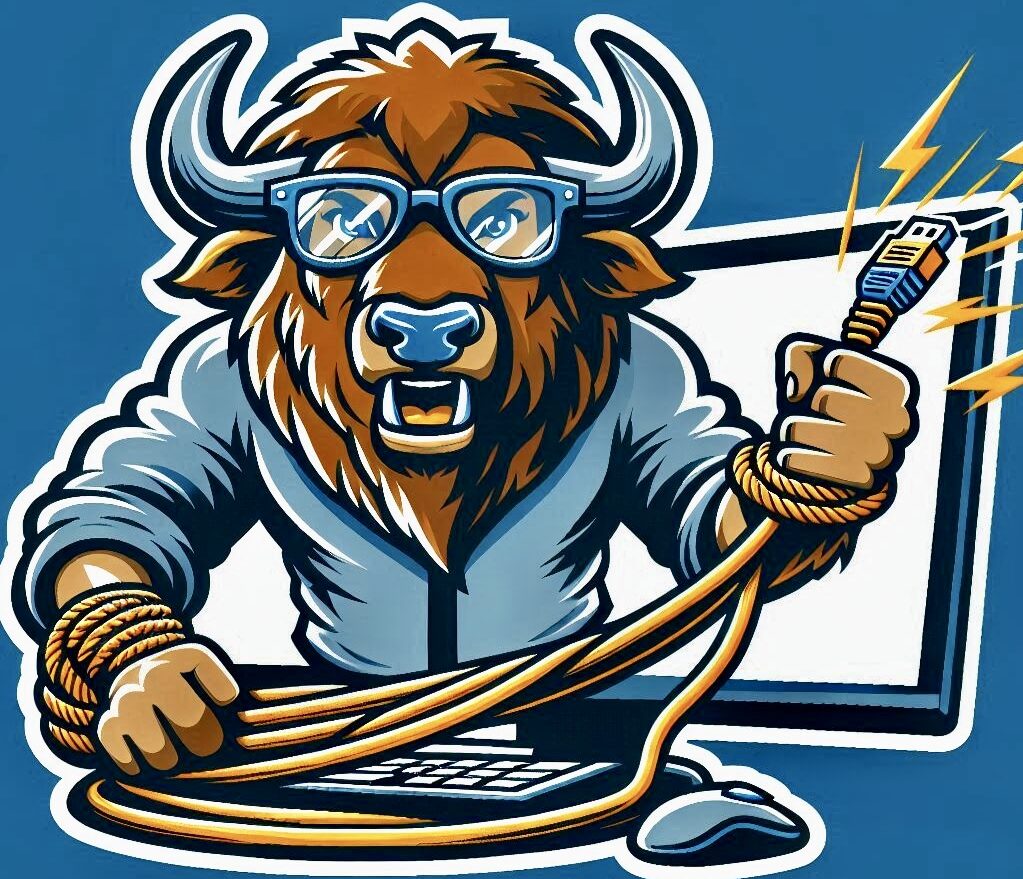 Bison Networking